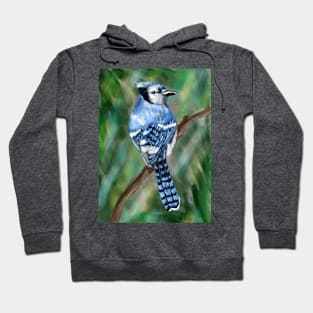 Blue Jay Hoodie